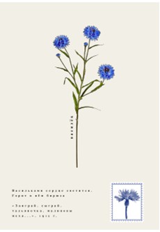 Обложка на паспорт Есенин_6505009378